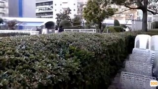 后入肥臀少妇 大屁股真爽 水超多 白嫩亚洲人